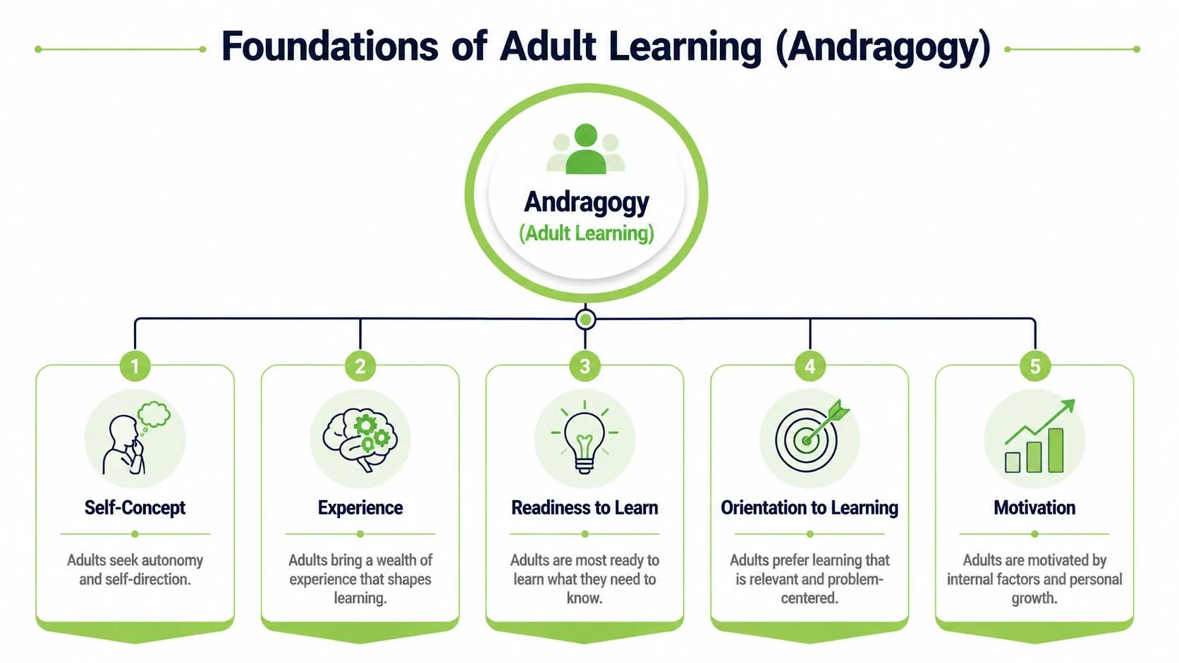 A diagram illustrating the five foundational principles of andragogy, or adult learning, with descriptive icons and text.