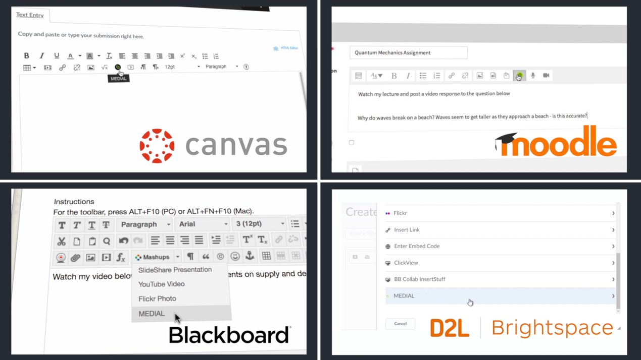 MEDIAL inside the D2L Brightspace editor