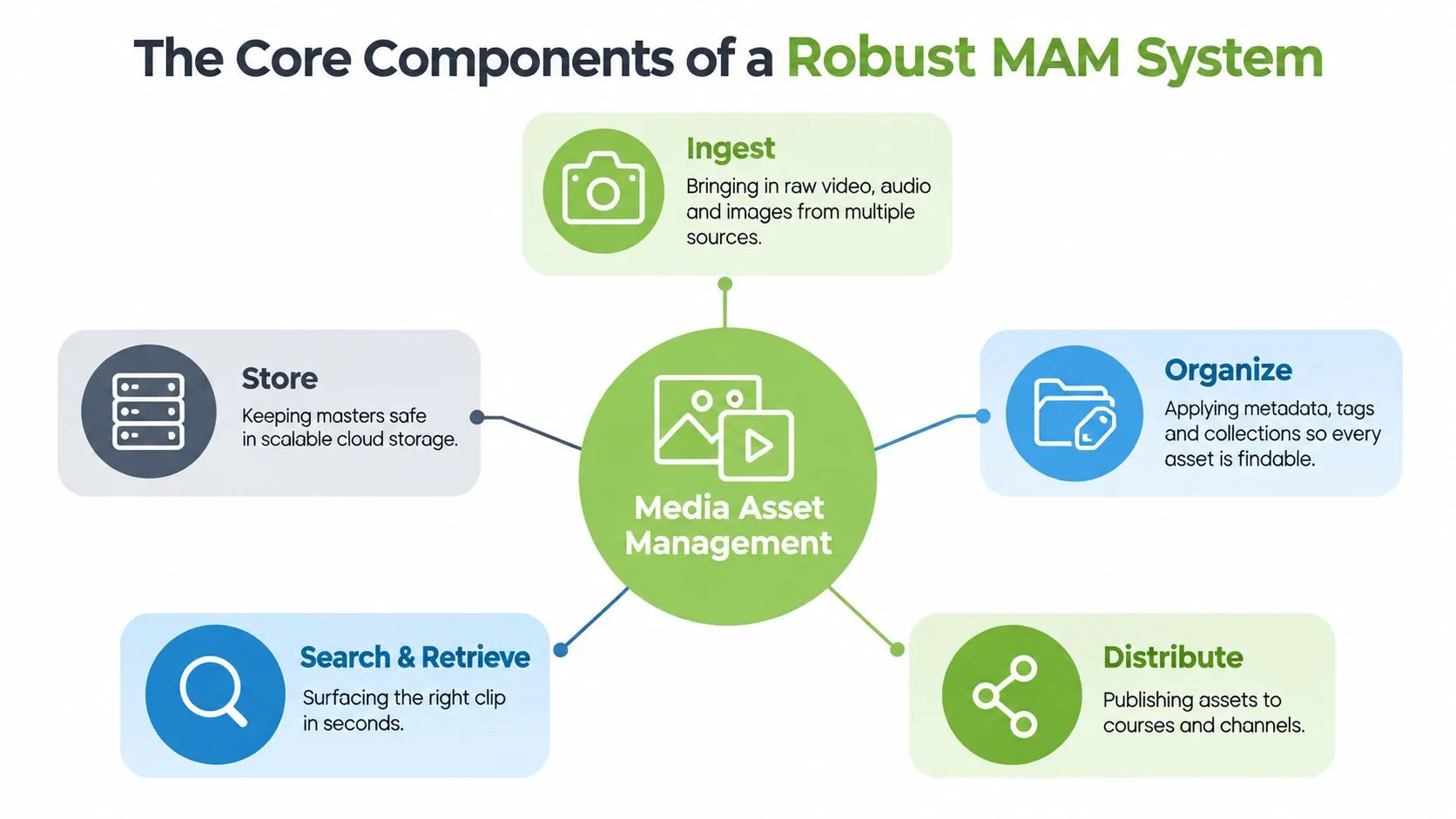 An infographic illustrating the five core components of a robust media asset management system, including ingest, store, organize, search, and distribute.